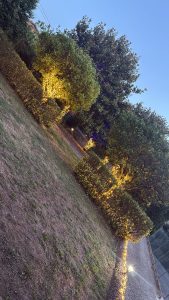 Festa Privada em Carregosa